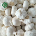 import chinese garlic 3p / 4p / 5p / 6p mesh bag packing